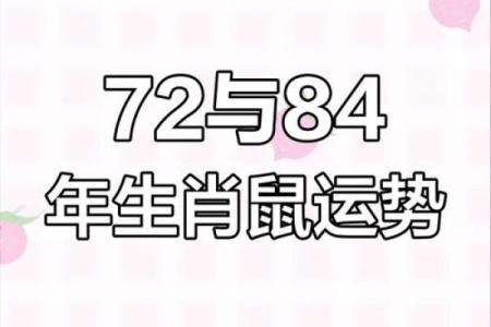 72年属鼠人的运势(72年属鼠人的运势及配对)