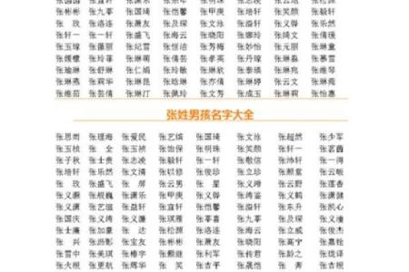 2025属蛇男孩最佳取名(2025属蛇男孩最佳取名字伍浩楠)