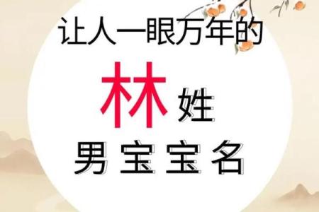 林姓好听稀少的男孩名字(林姓好听稀少的男孩名字带醉字)