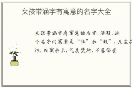 涵养高雅女孩名字(涵养高雅女孩名字姓费)