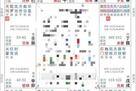 紫微斗数个人命盘详解(紫微斗数个人命盘详解)