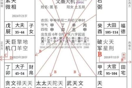 紫微斗数来因宫怎么找(紫微斗数 来因)