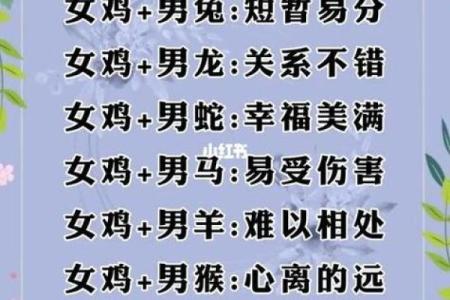 虎女和龙男相配婚姻如何(虎女和龙男配吗)