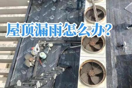 梦见家下雨屋子漏雨