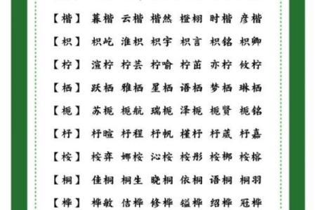 木字旁的字男孩起名字(木字旁的字男孩起名字12画)