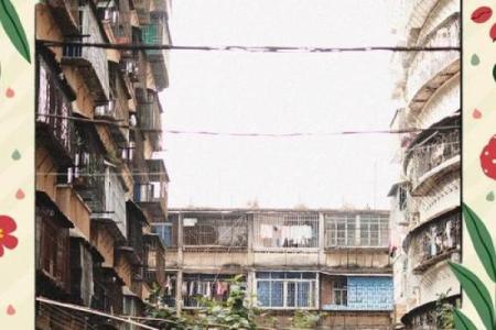 梦见回老家住老房子
