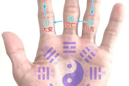 六壬排盘易运盘(六壬排盘apk)