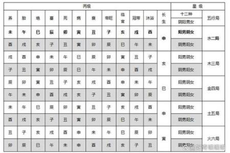 紫微斗数如何排盘(紫微斗数排盘方法步骤总表)