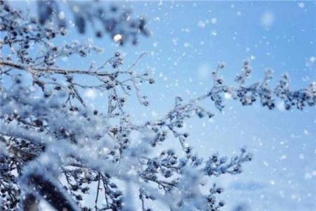 做梦梦到下雪了是什么预兆