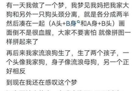 梦见男朋友出轨特别清晰