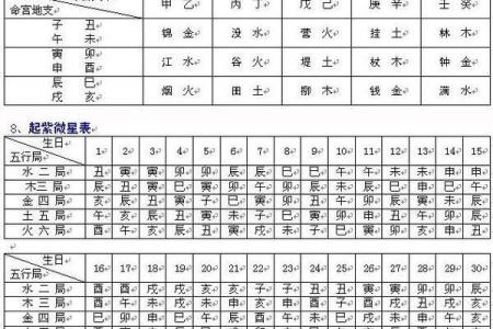 中国紫微斗数排盘(紫微斗数排盘免费)