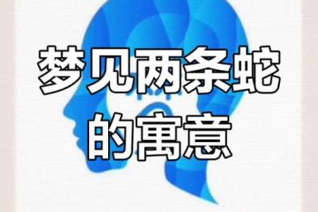 梦到抓到蛇是什么意思