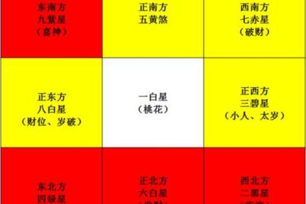 玄空飞星排盘方法(玄空飞星排盘方法视频)