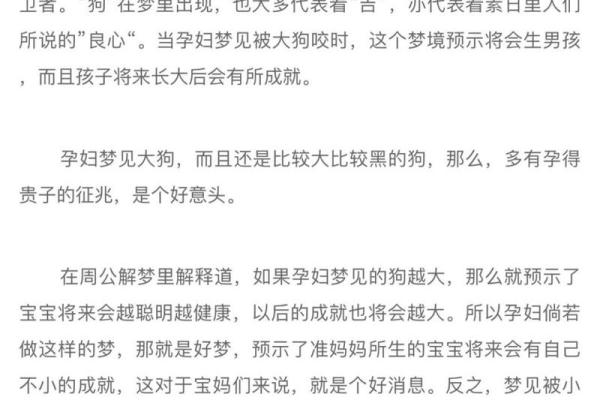梦见狗追着别人咬是什么意思