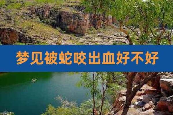 梦见自己被蛇咬出血了是什么征兆