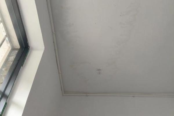 梦见房子到处漏水是什么意思