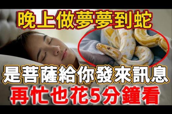 梦见被蛇追咬是什么预兆周公解梦
