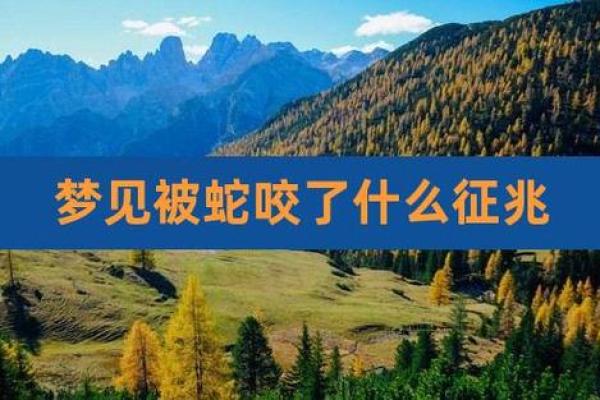 梦到自己被蛇咬了什么意思
