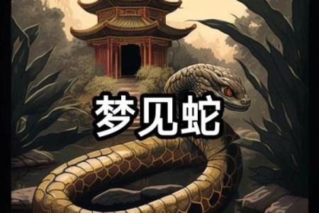 梦见大蛇进家里代表什么