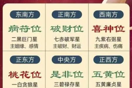 25年玄空飞星(2020年玄空飞星图解)