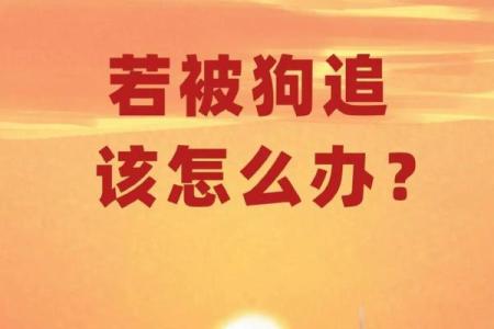 梦见被狗追着咬是什么意思