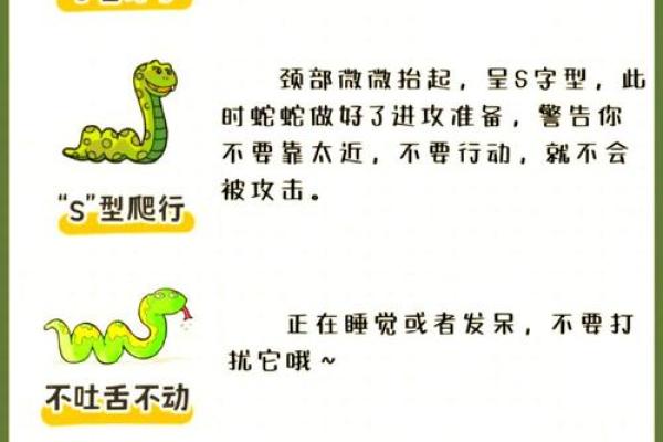 梦到蛇和鳄鱼