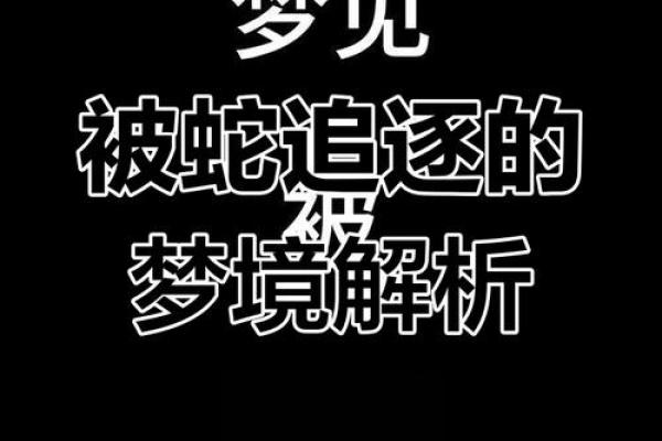 梦到被蛇追着咬是什么征兆 女性