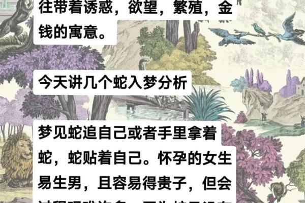 梦到杀死一条大蛇