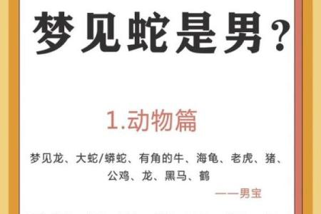 梦见粗蛇是什么预兆 女性