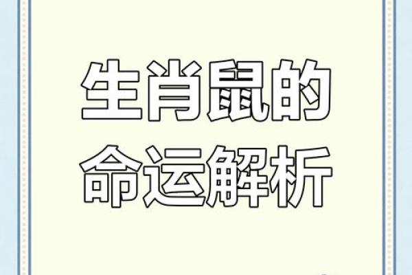 鼠年出生的人的命运(鼠年出生的人的命运什么月最好)