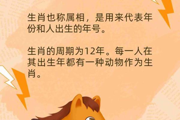 飞黄腾达的动物是什么生肖