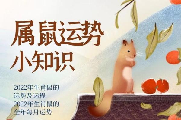 属鼠的今天的运势和财运(属鼠的今天的运势和财运,查十二星座今天的运势)