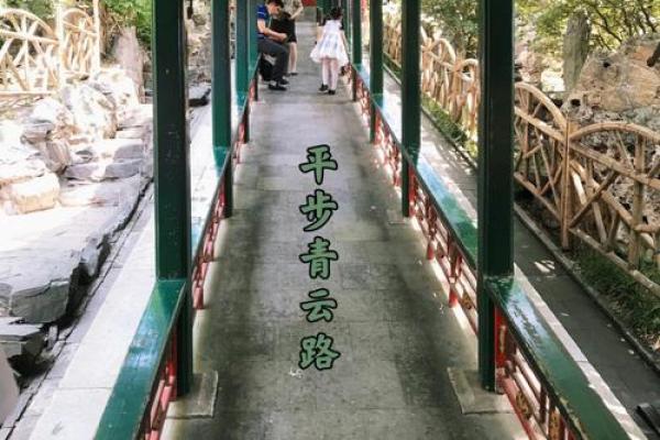 青云有路是什么生肖 青云有路任胜达是什么生肖