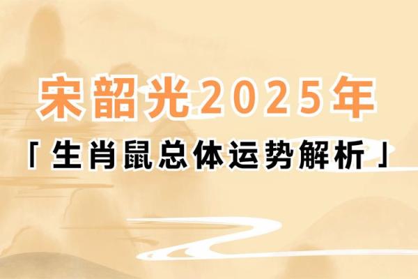96年属鼠2025年全年运势(1996年属鼠未来5年运势)