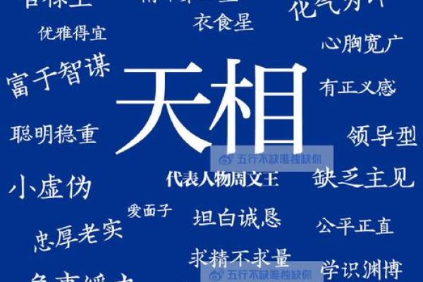 星字五行属什么