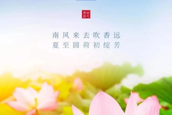 夏至节气祝福语50句