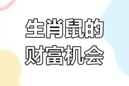 今年属鼠的财运(今年属鼠的财运)