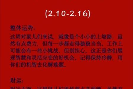 2025年属鼠每月运势(2025年属鼠每月运势详解)