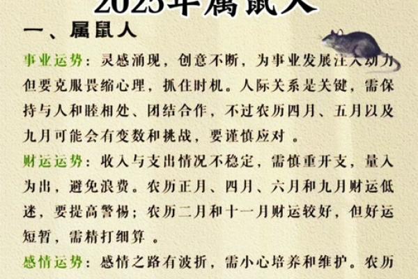 属鼠人2025年的运势(属鼠人2025年的运势运程)