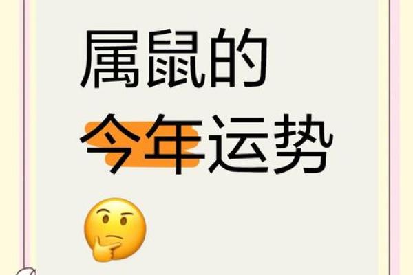 2025年属鼠的运势和财运1984年(属鼠人2025年的运势)