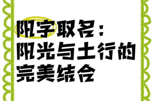 阳字五行属什么