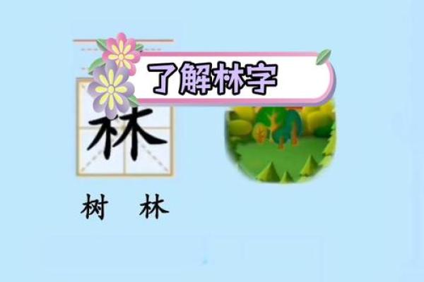 林字五行属什么