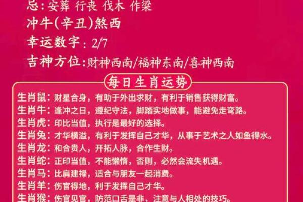属鼠人今日运势最准(属鼠人今日运势最准打麻将)