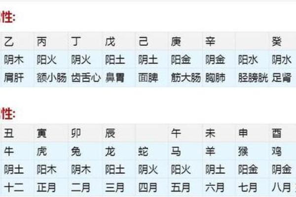 月字五行属什么