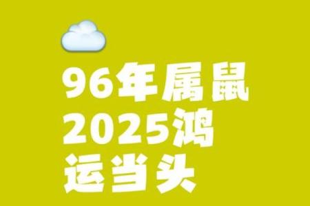 1996年属鼠今日运势(1996年属鼠今日运势如何)