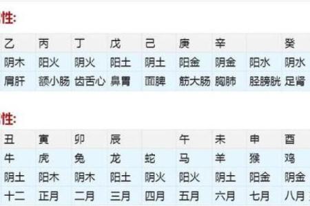 月字五行属什么