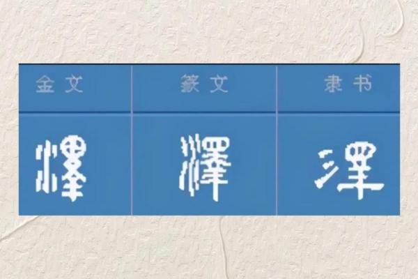 泽字五行属什么