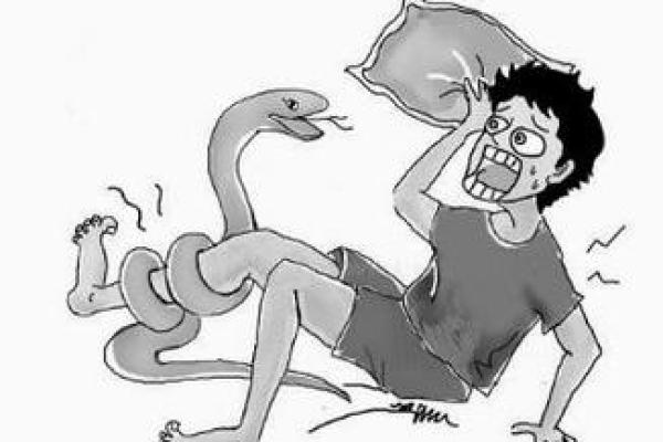 梦见屁股被蛇咬了是什么征兆
