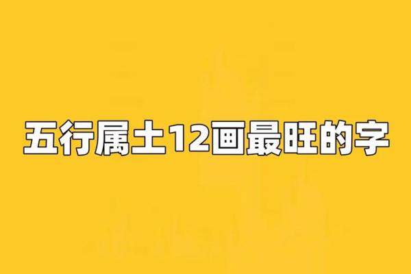 周字五行属什么