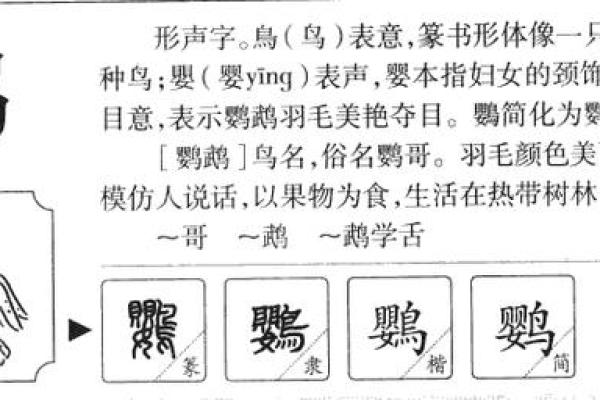 洋字五行属什么